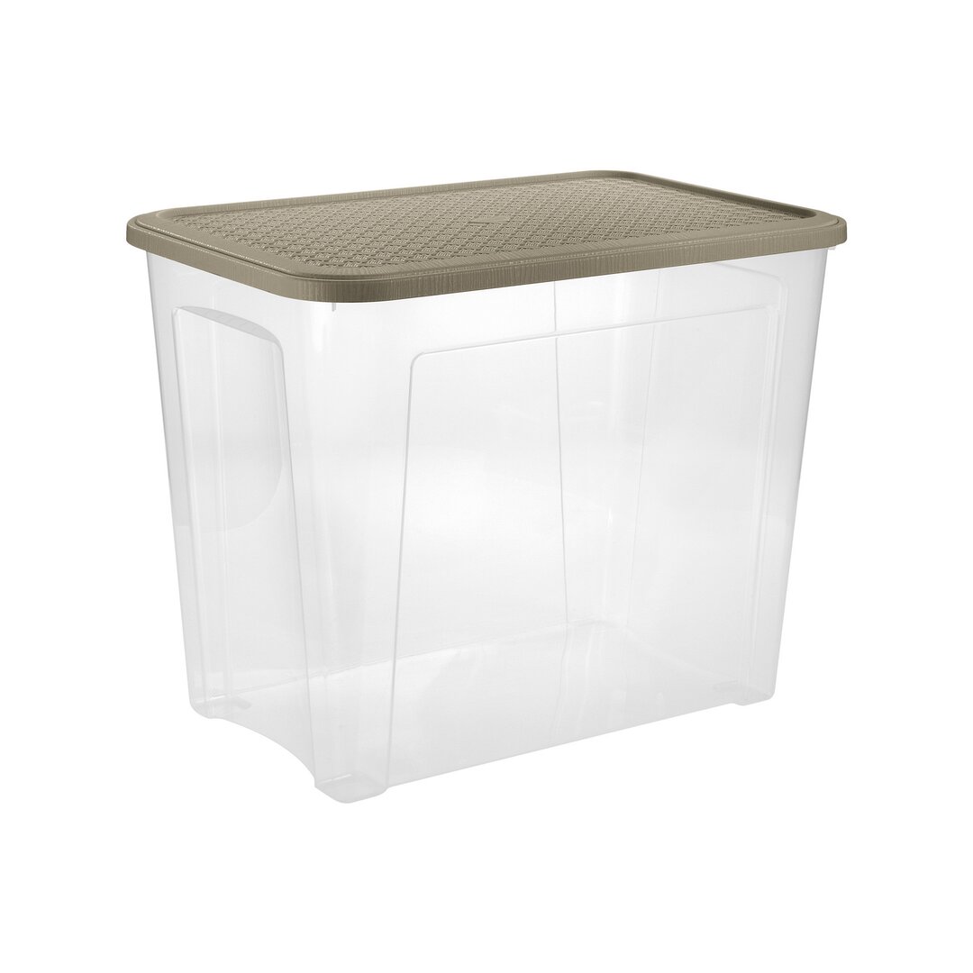 Tontarelli Arianna Beige Kuti Organizimi me Kapak, 58.2x38x45.8 Cm, 67 Lt, 1 Copë